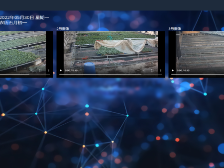 九游会：中国农人丰盈节浙江主场活动举办 互动丰厚杰出农人主体